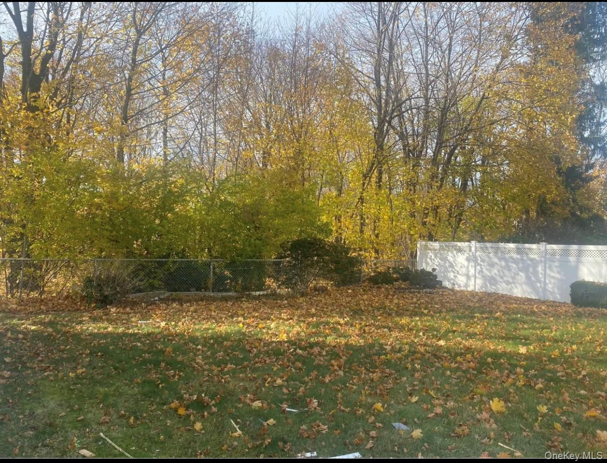 #13 photo, 211 Mineola Avenue, Carle Place , NY 11514