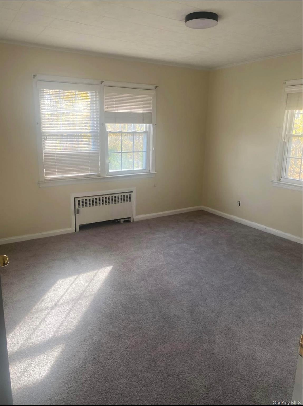 #4 photo, 211 Mineola Avenue, Carle Place , NY 11514