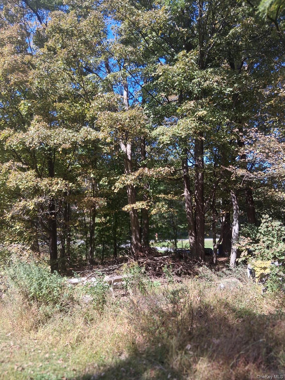 #20 photo, 84 North Road, Red Hook , NY 12571