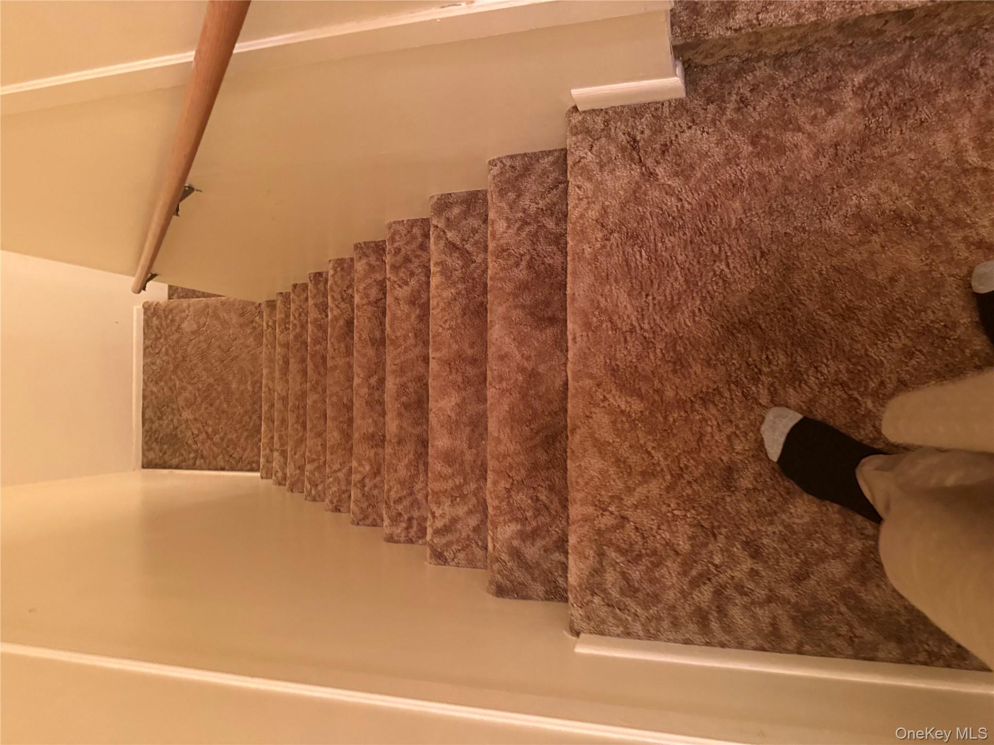 #17 photo, 230 Fleet Court, Bronx , NY 10473