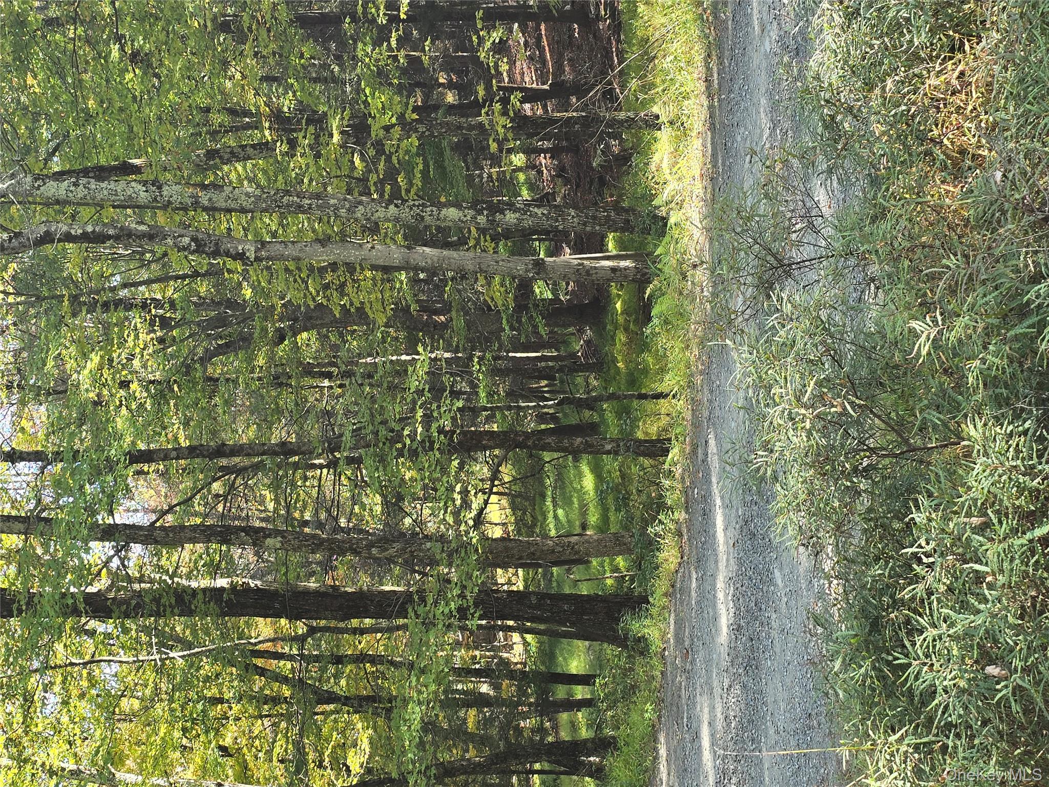 #12 photo, 140 Stiller Berg Strada, Rochester , NY 12446