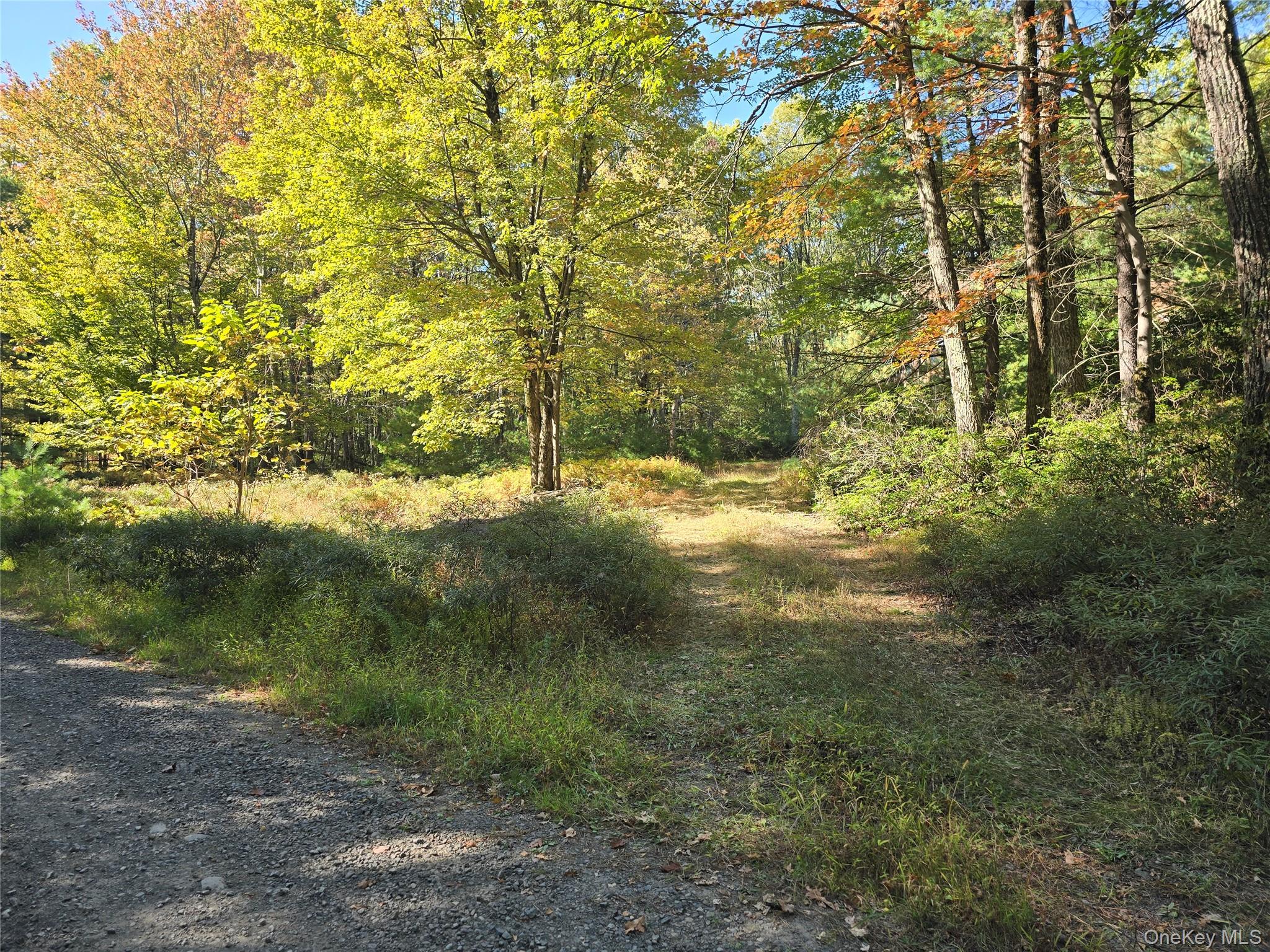 #13 photo, 140 Stiller Berg Strada, Rochester , NY 12446