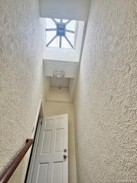 #11 photo, 45-47 43 Street, クイーンズ区 Sunnyside , NY 11104