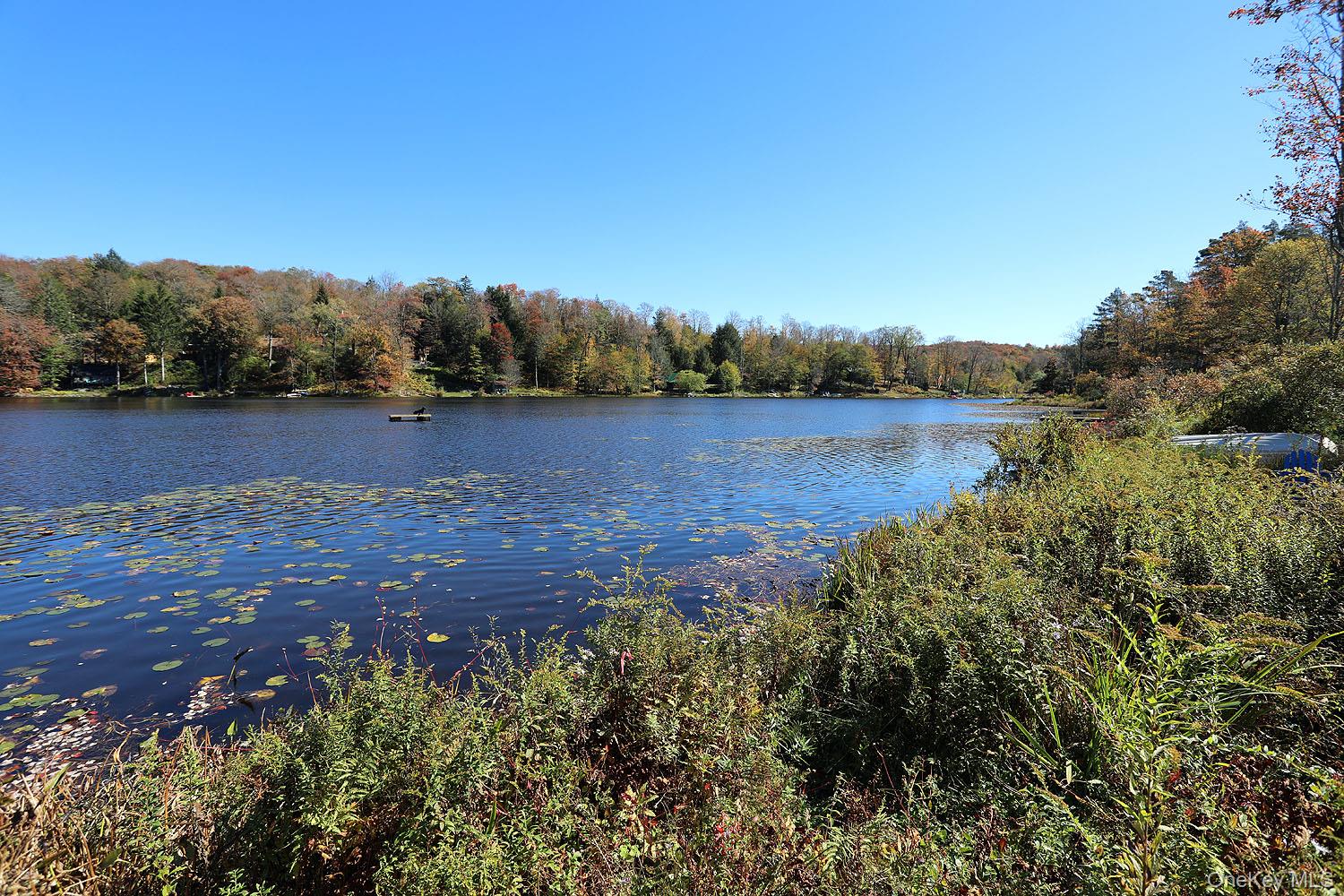 #13 photo, 286 Trout Brook Road, Roscoe , NY 12736