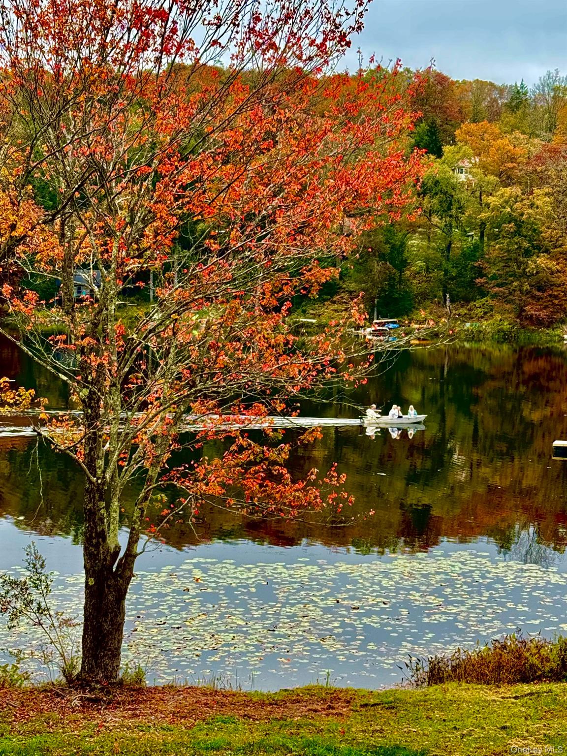 #3 photo, 286 Trout Brook Road, Roscoe , NY 12736