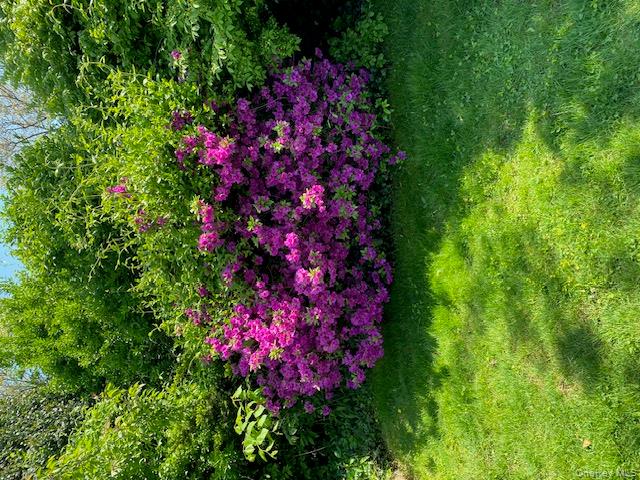 #19 photo, 170 Wickfield Lane, North Babylon , NY 11703