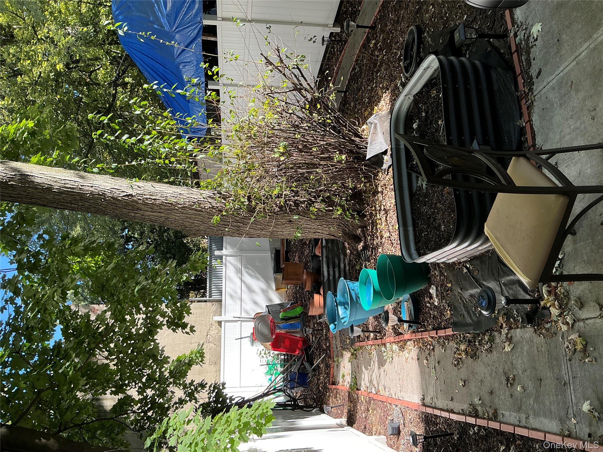 #8 photo, 819 Marcy Avenue, Brooklyn , NY 11216