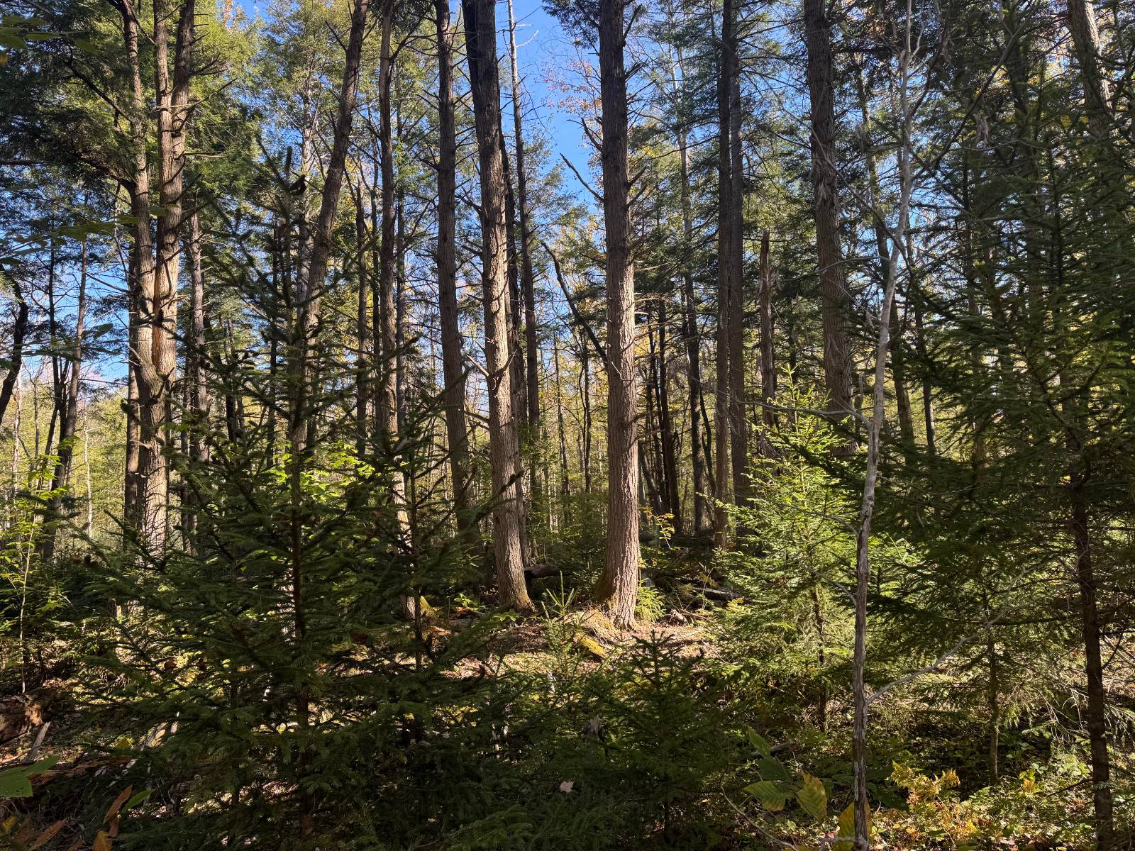 #12 photo, 00 Barker Rd, Dolgeville , NY 13329