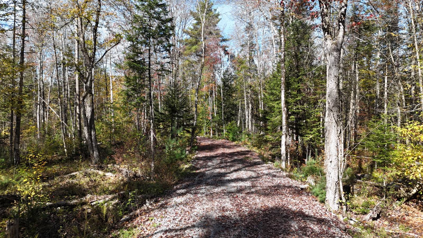 #13 photo, 00 Barker Rd, Dolgeville , NY 13329