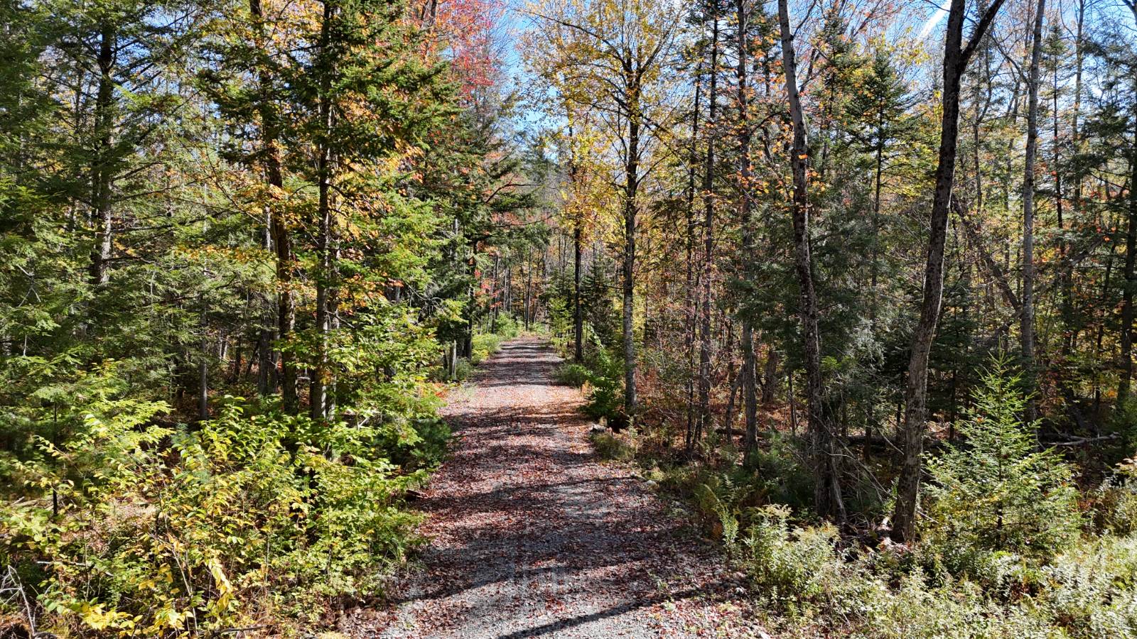 #14 photo, 00 Barker Rd, Dolgeville , NY 13329