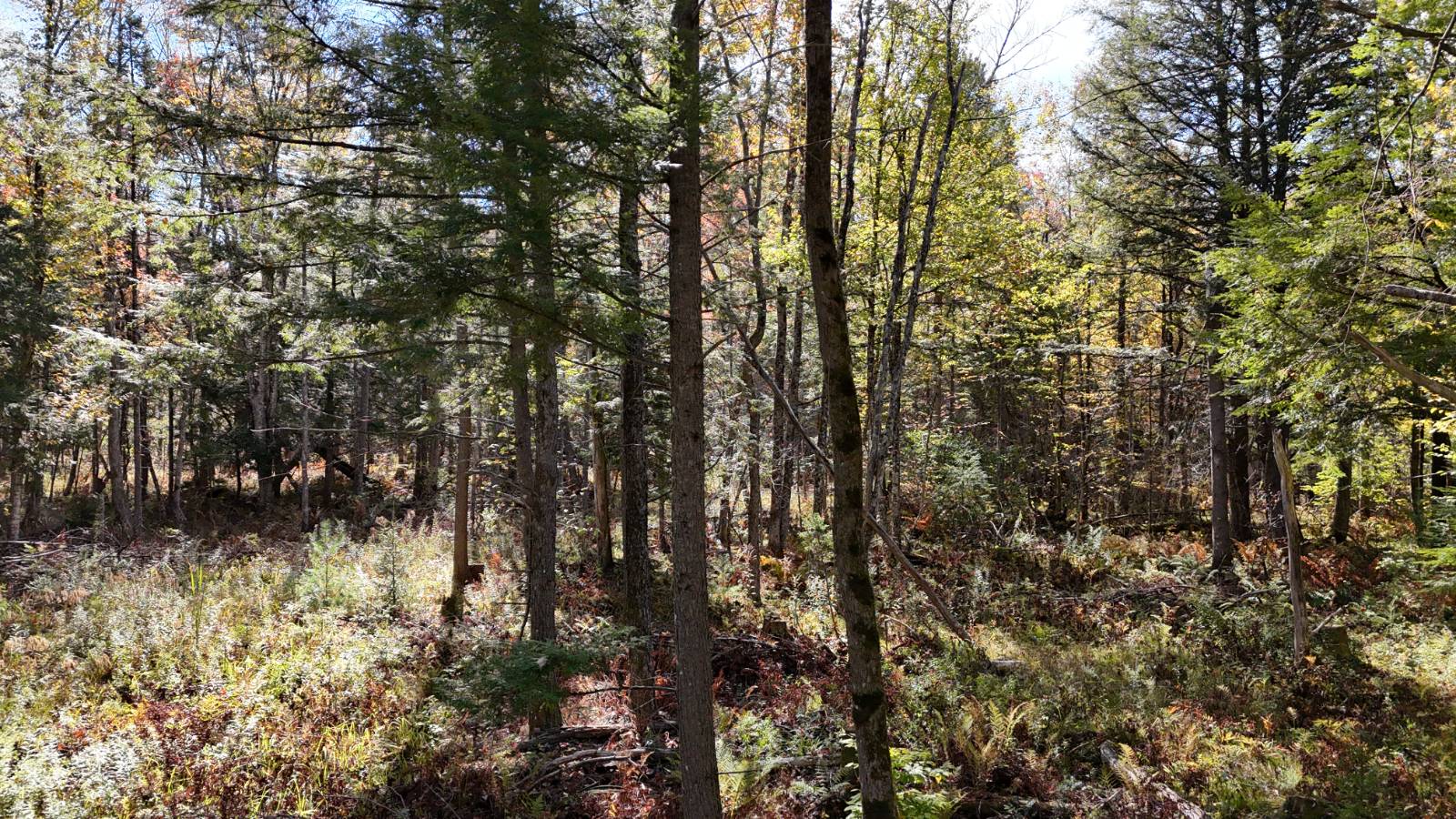 #15 photo, 00 Barker Rd, Dolgeville , NY 13329