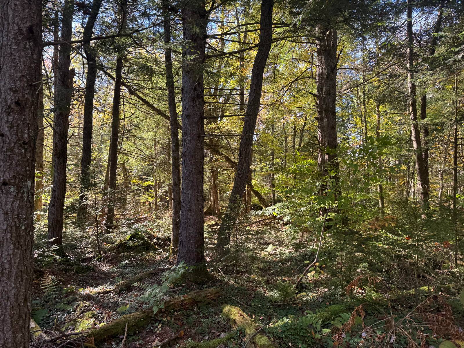 #16 photo, 00 Barker Rd, Dolgeville , NY 13329