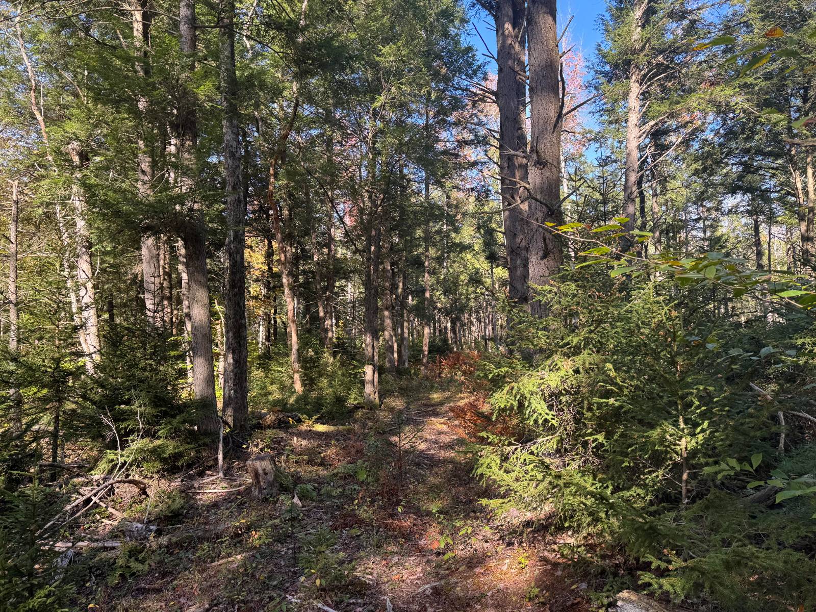 #18 photo, 00 Barker Rd, Dolgeville , NY 13329