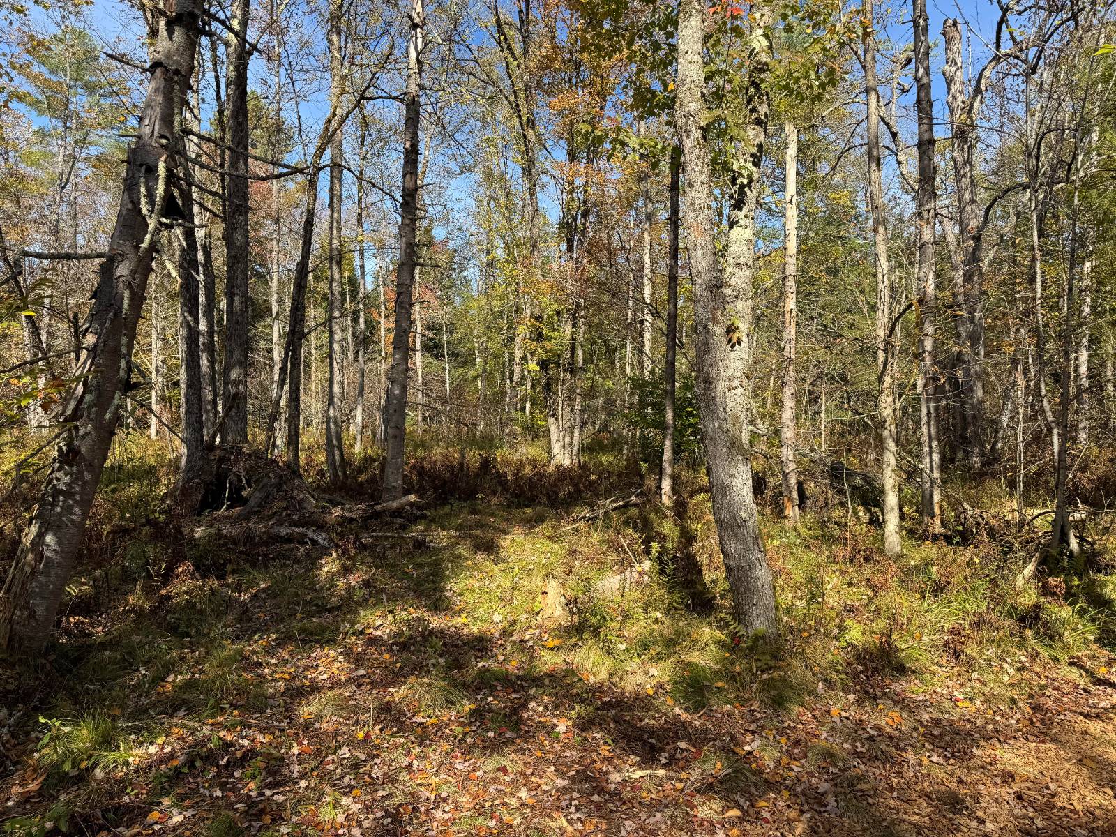 #19 photo, 00 Barker Rd, Dolgeville , NY 13329