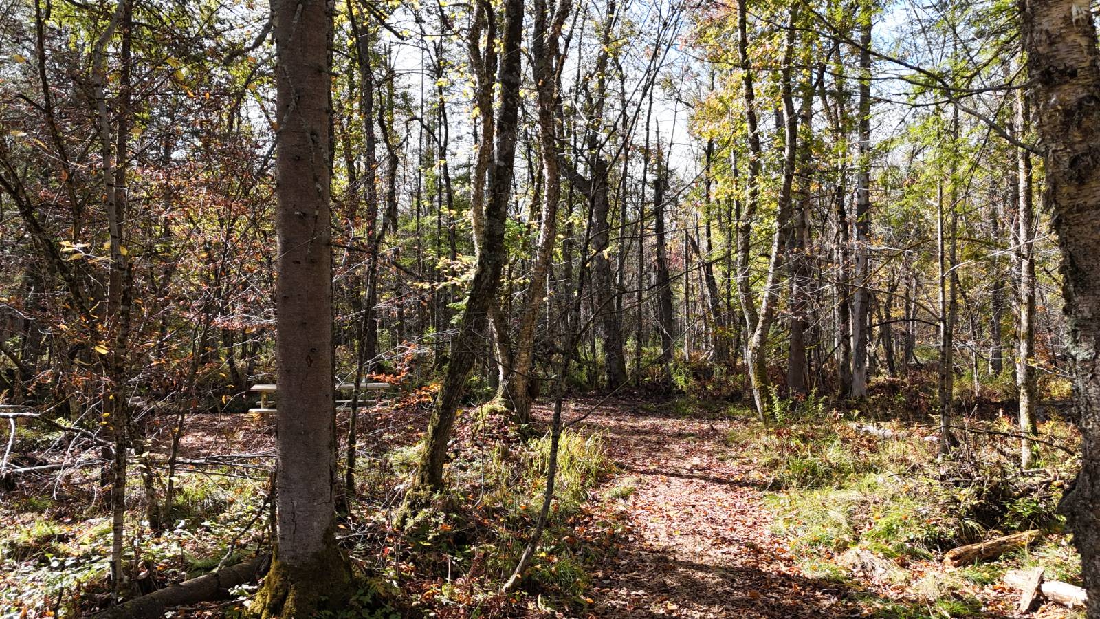 #22 photo, 00 Barker Rd, Dolgeville , NY 13329