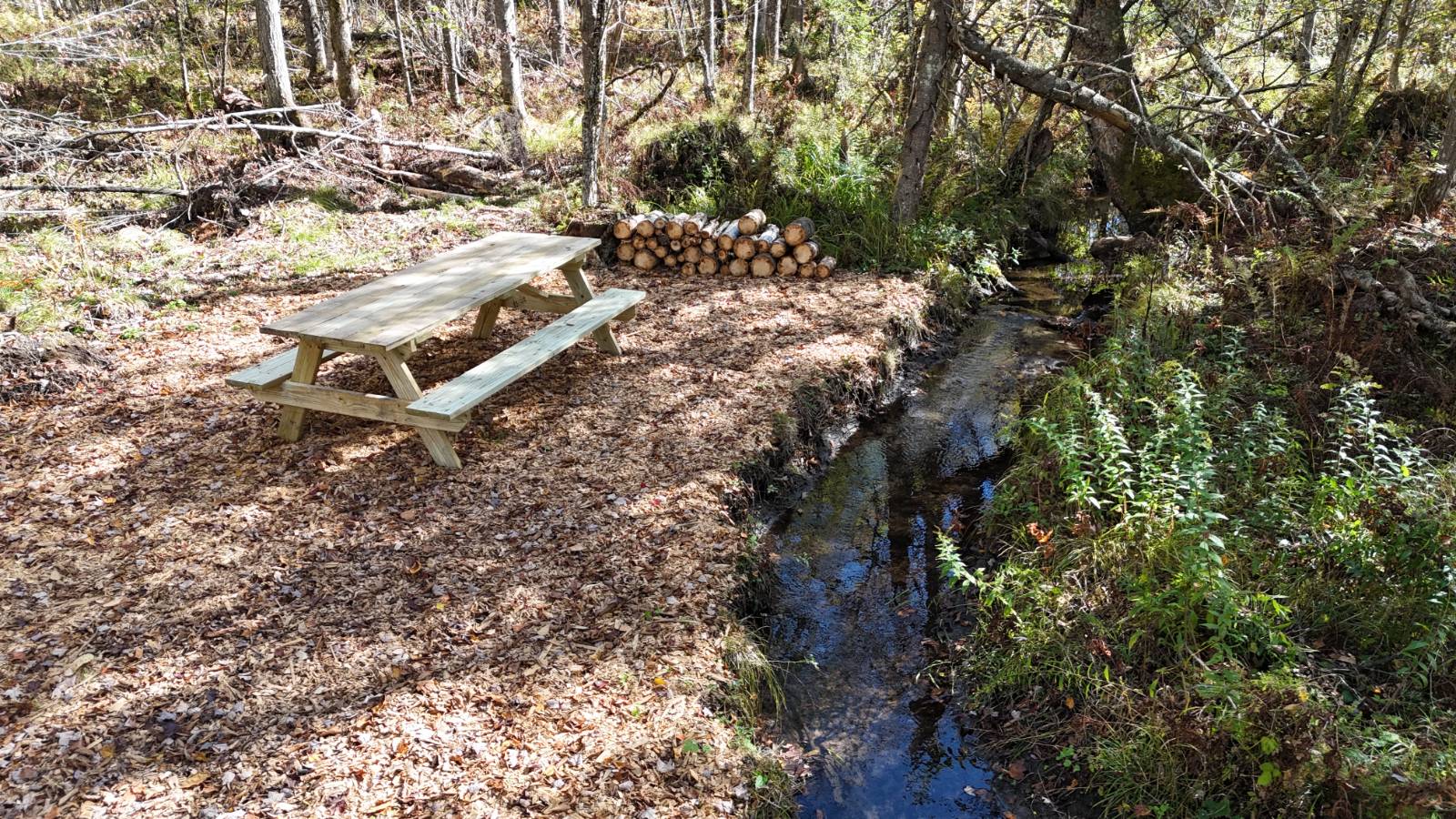 #23 photo, 00 Barker Rd, Dolgeville , NY 13329