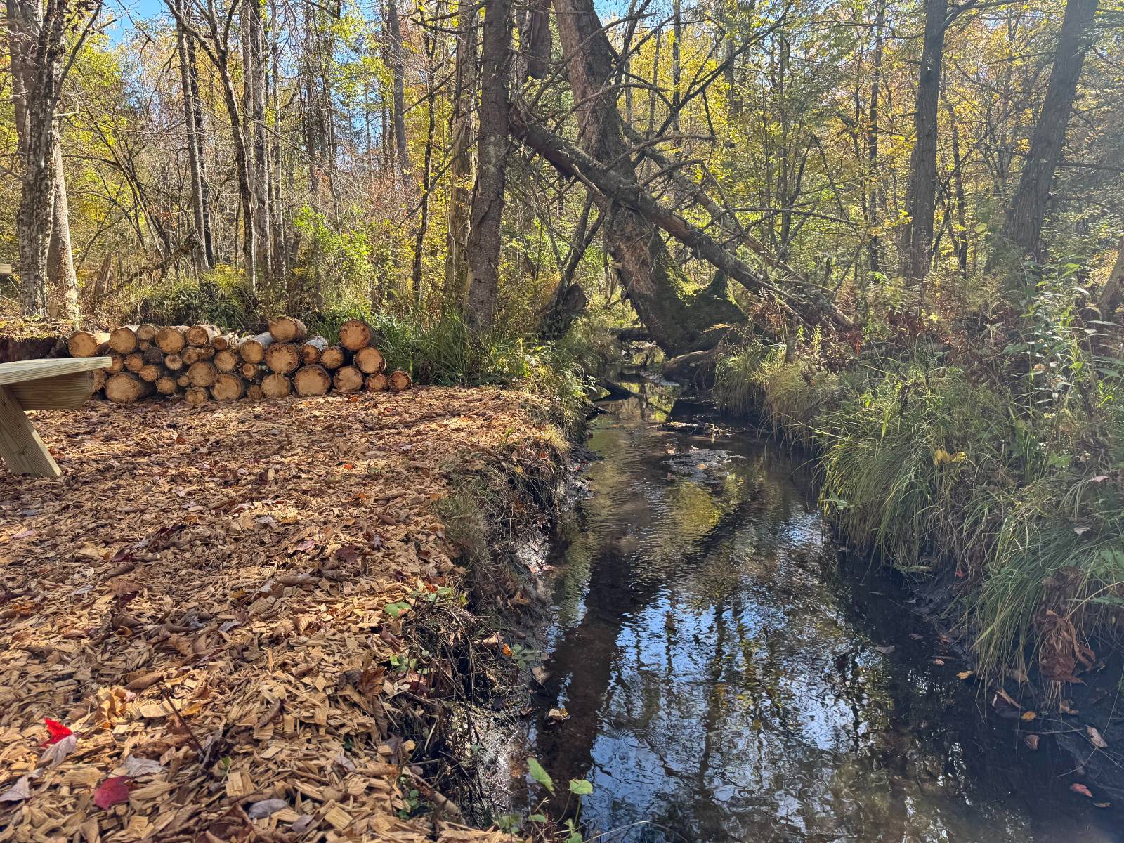 #24 photo, 00 Barker Rd, Dolgeville , NY 13329