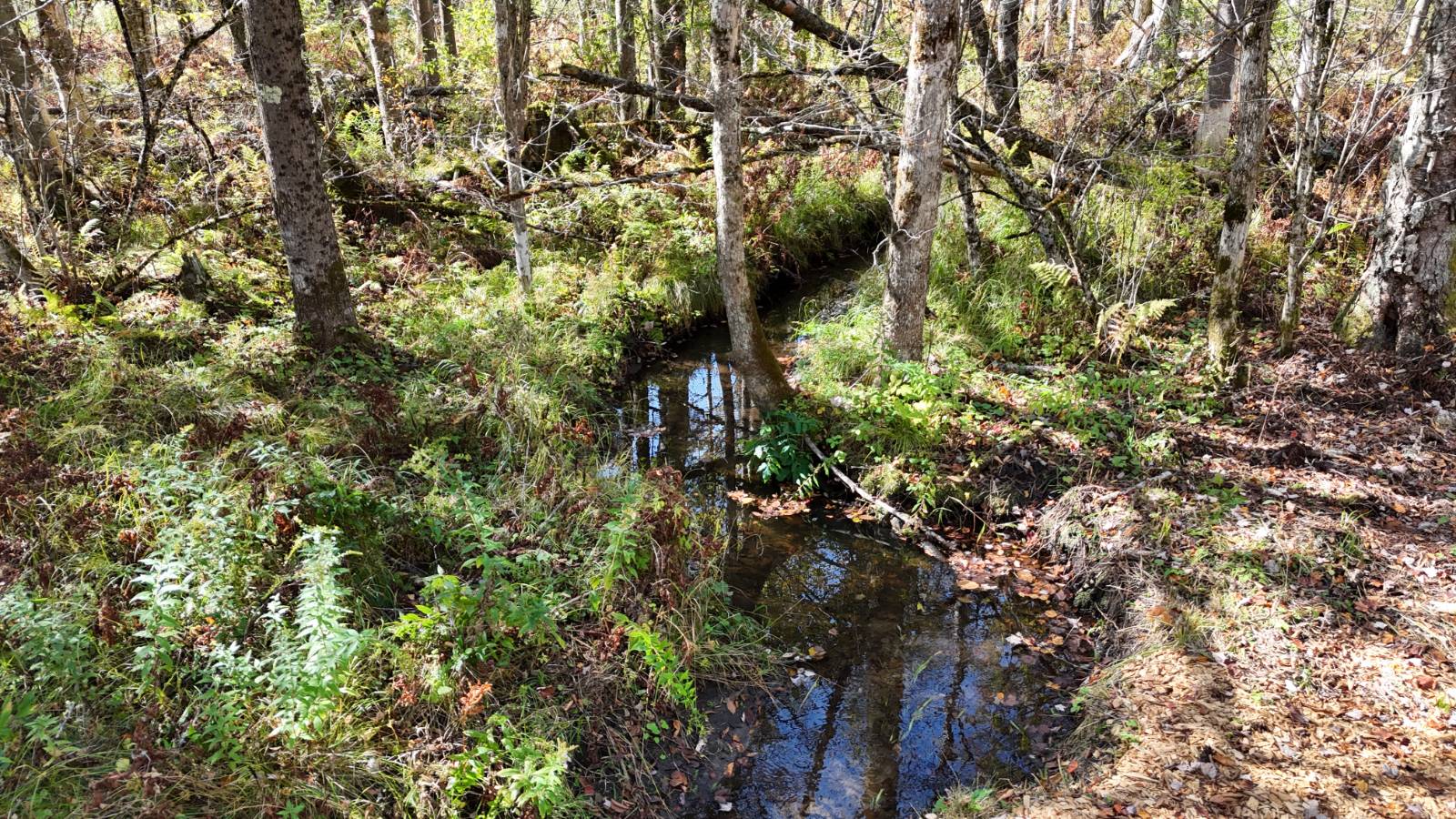 #28 photo, 00 Barker Rd, Dolgeville , NY 13329