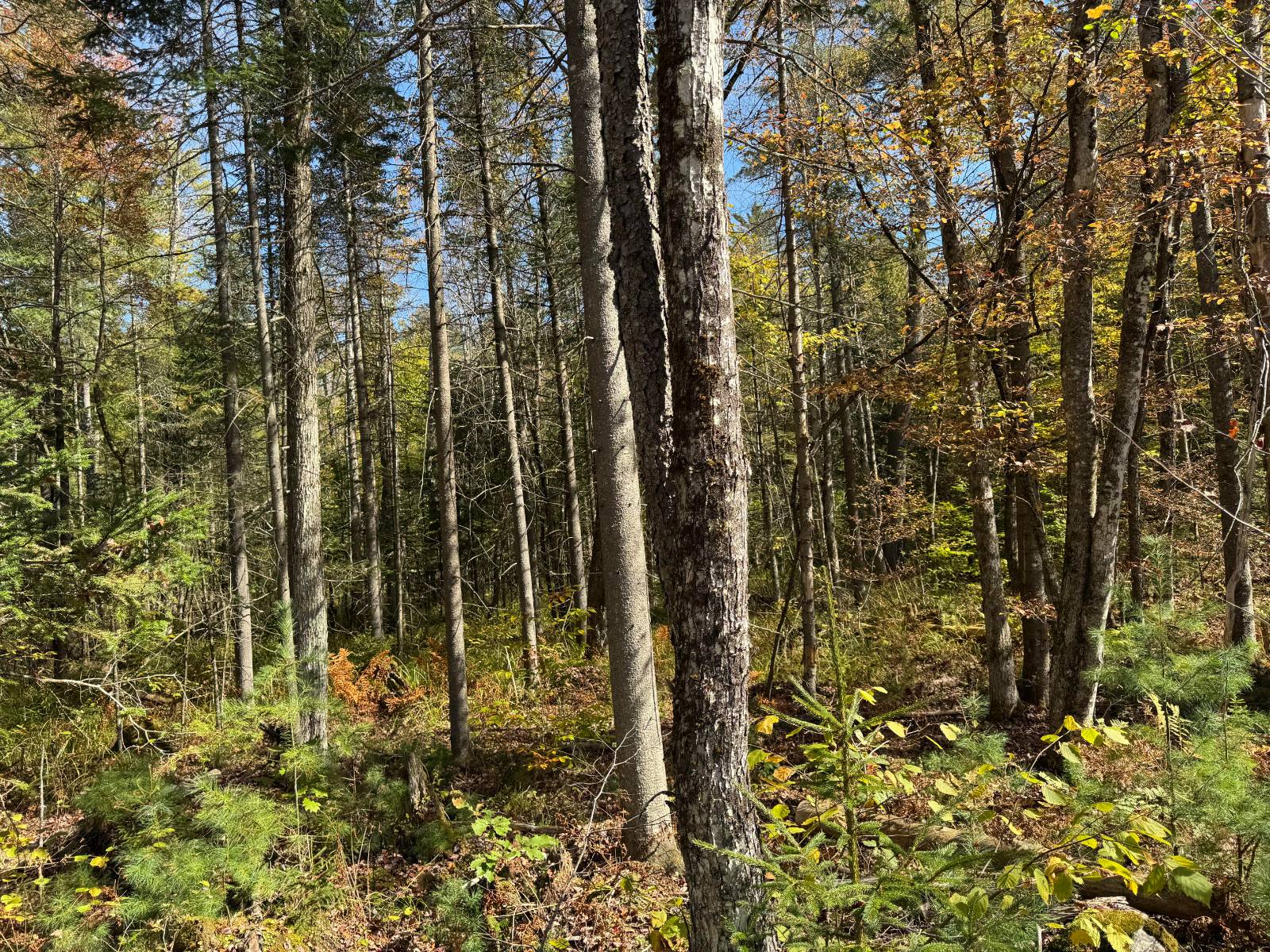 #32 photo, 00 Barker Rd, Dolgeville , NY 13329