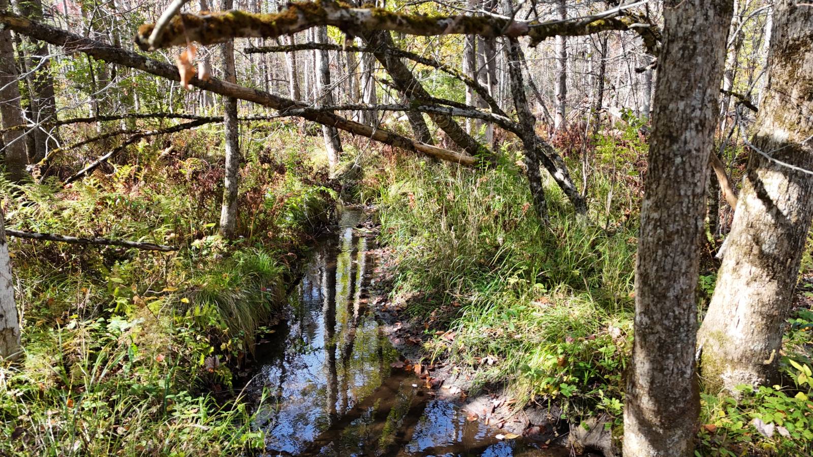 #33 photo, 00 Barker Rd, Dolgeville , NY 13329