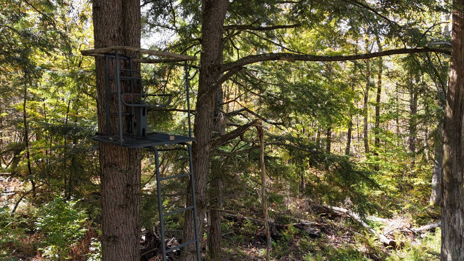 #37 photo, 00 Barker Rd, Dolgeville , NY 13329