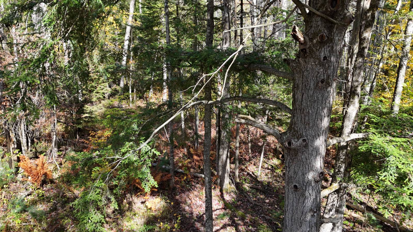 #41 photo, 00 Barker Rd, Dolgeville , NY 13329