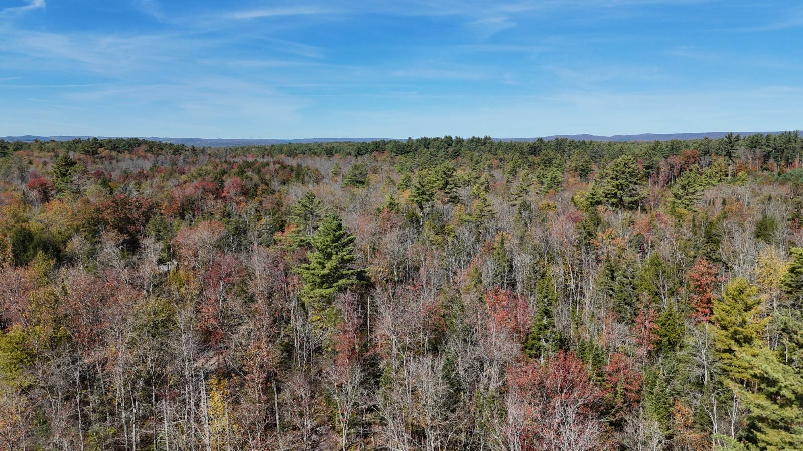 #42 photo, 00 Barker Rd, Dolgeville , NY 13329