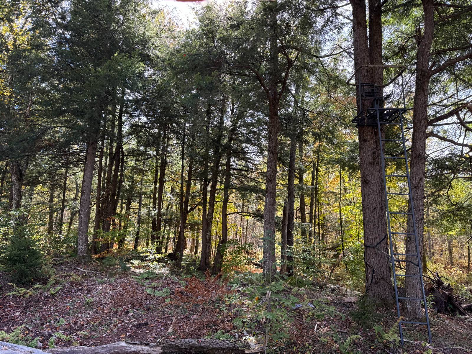 #44 photo, 00 Barker Rd, Dolgeville , NY 13329