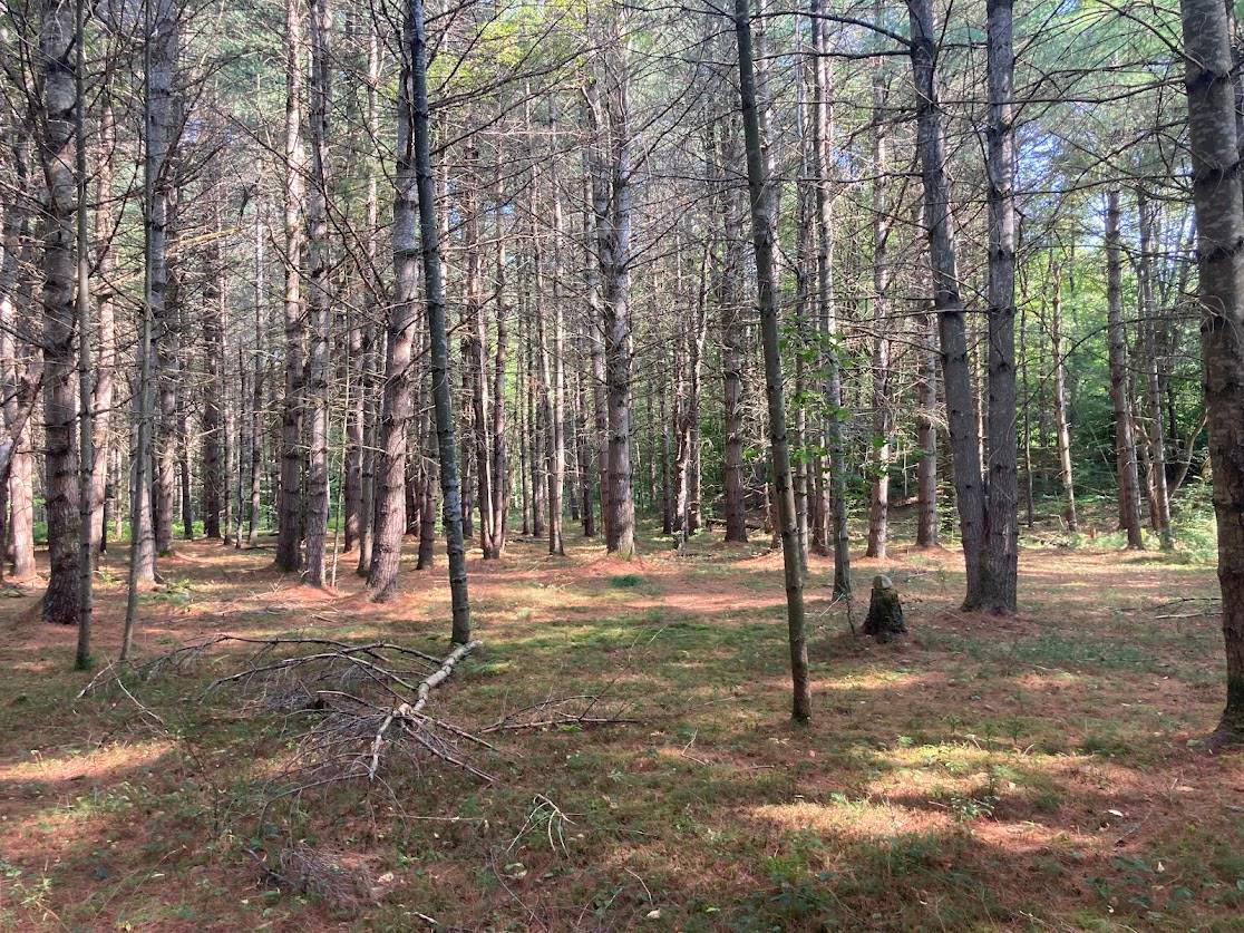 #12 photo, 5753 Van Arnam Rd, Greig , NY 13345