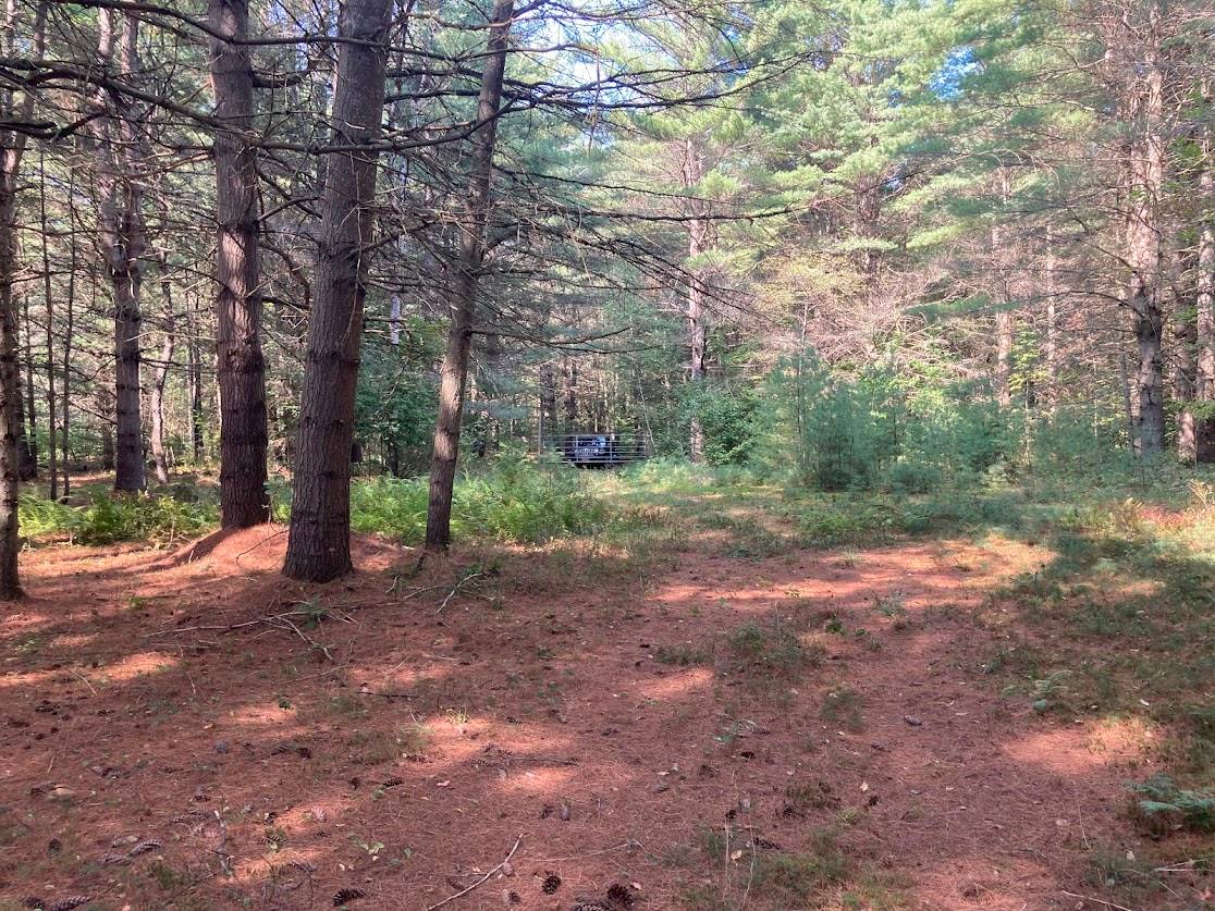 #13 photo, 5753 Van Arnam Rd, Greig , NY 13345