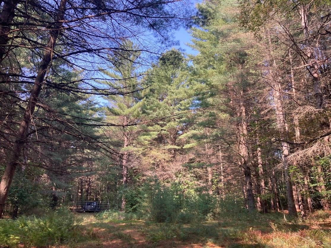 #14 photo, 5753 Van Arnam Rd, Greig , NY 13345