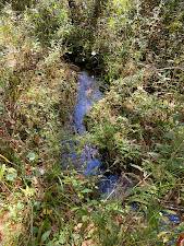 #15 photo, 5753 Van Arnam Rd, Greig , NY 13345