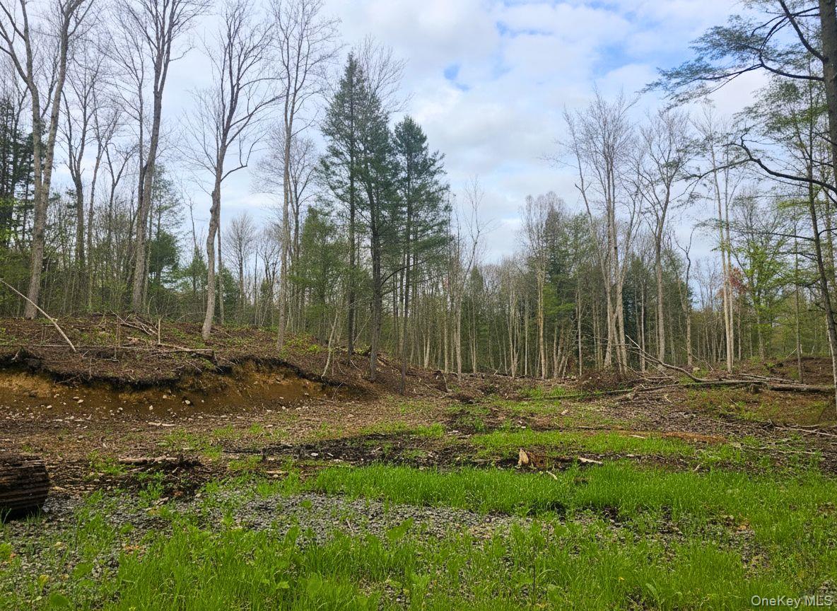 #1 photo, L42 Barlow Road, Call Listing Agent , NY 12078