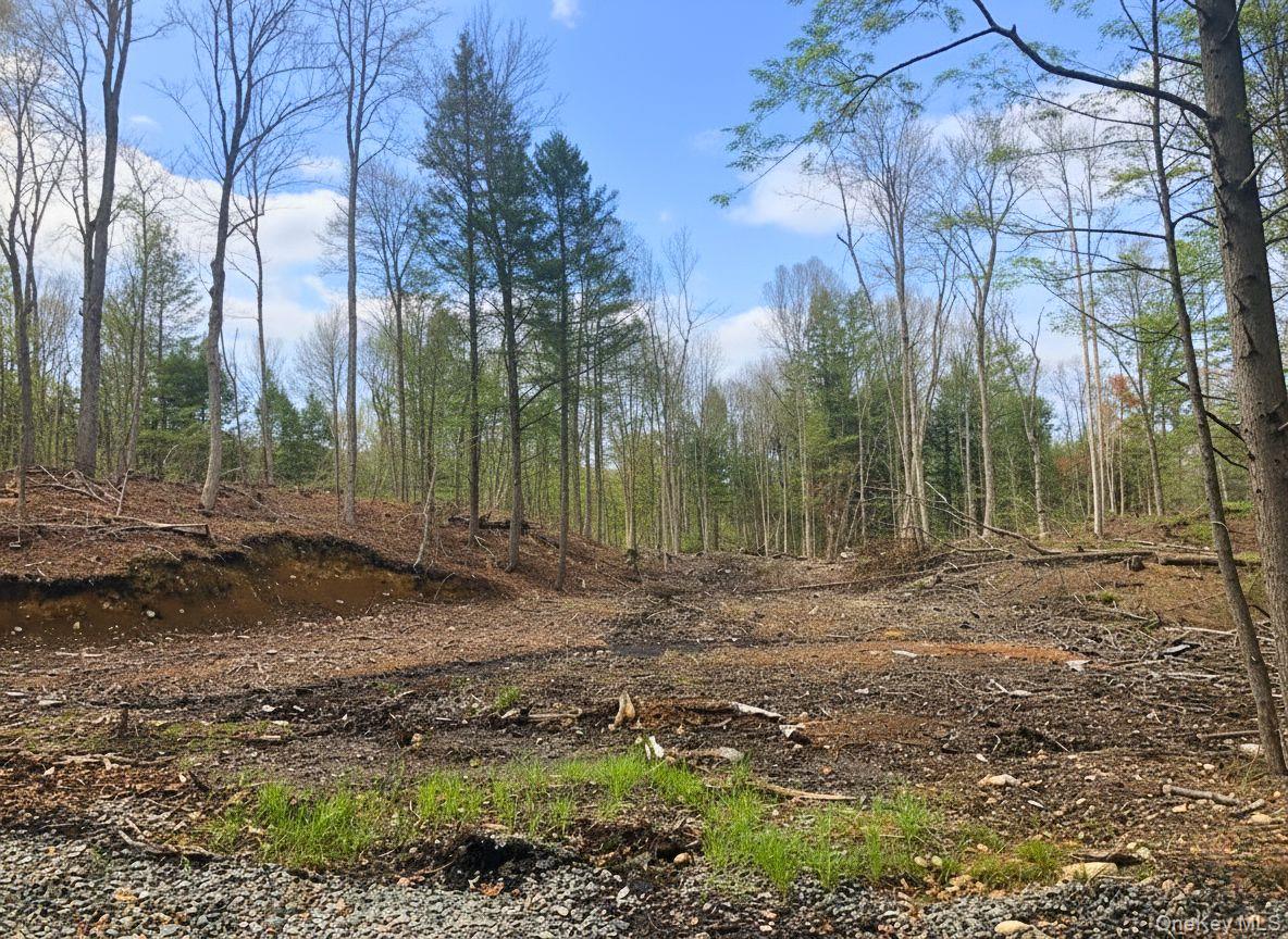 #2 photo, L42 Barlow Road, Call Listing Agent , NY 12078