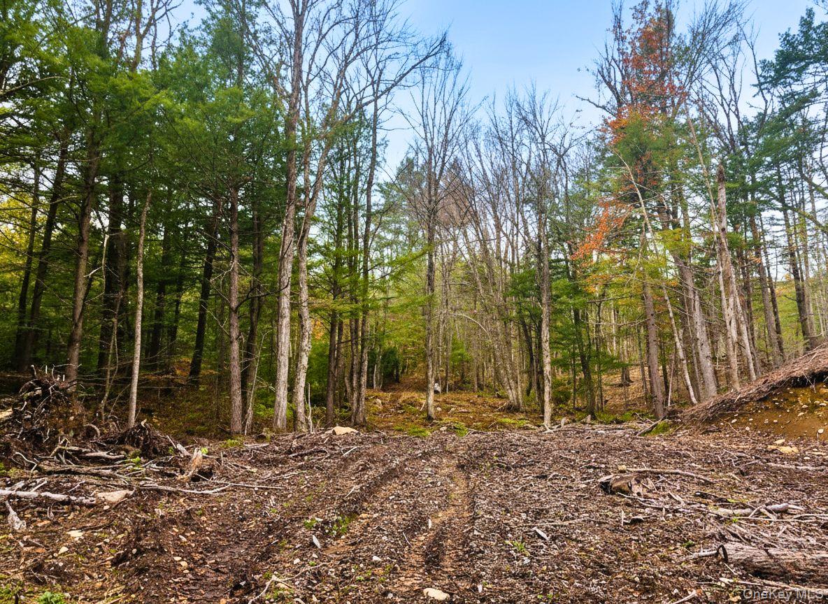 #4 photo, L42 Barlow Road, Call Listing Agent , NY 12078