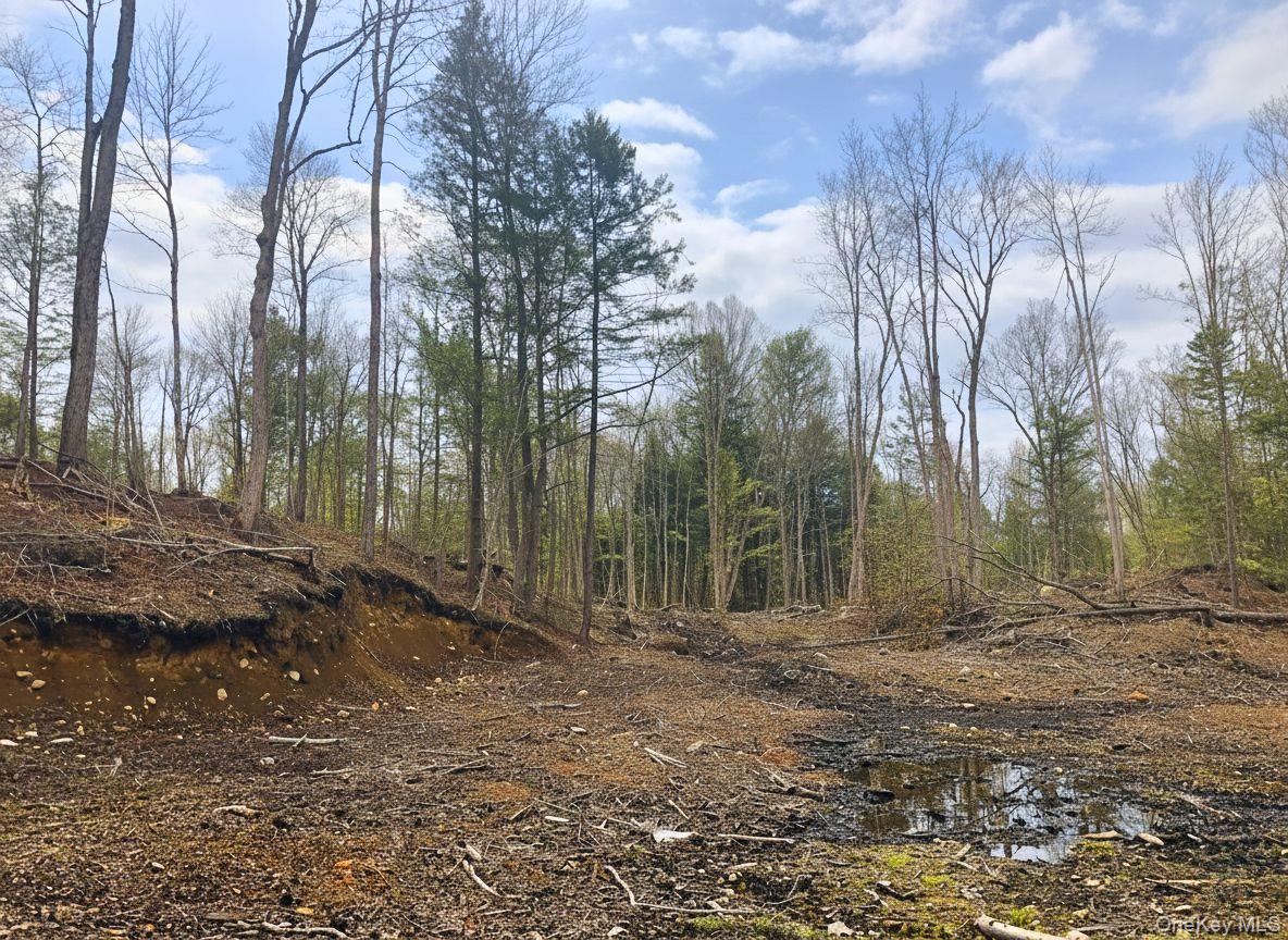 #5 photo, L42 Barlow Road, Call Listing Agent , NY 12078