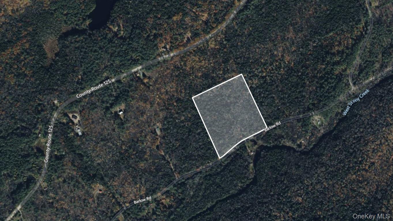 #6 photo, L42 Barlow Road, Call Listing Agent , NY 12078