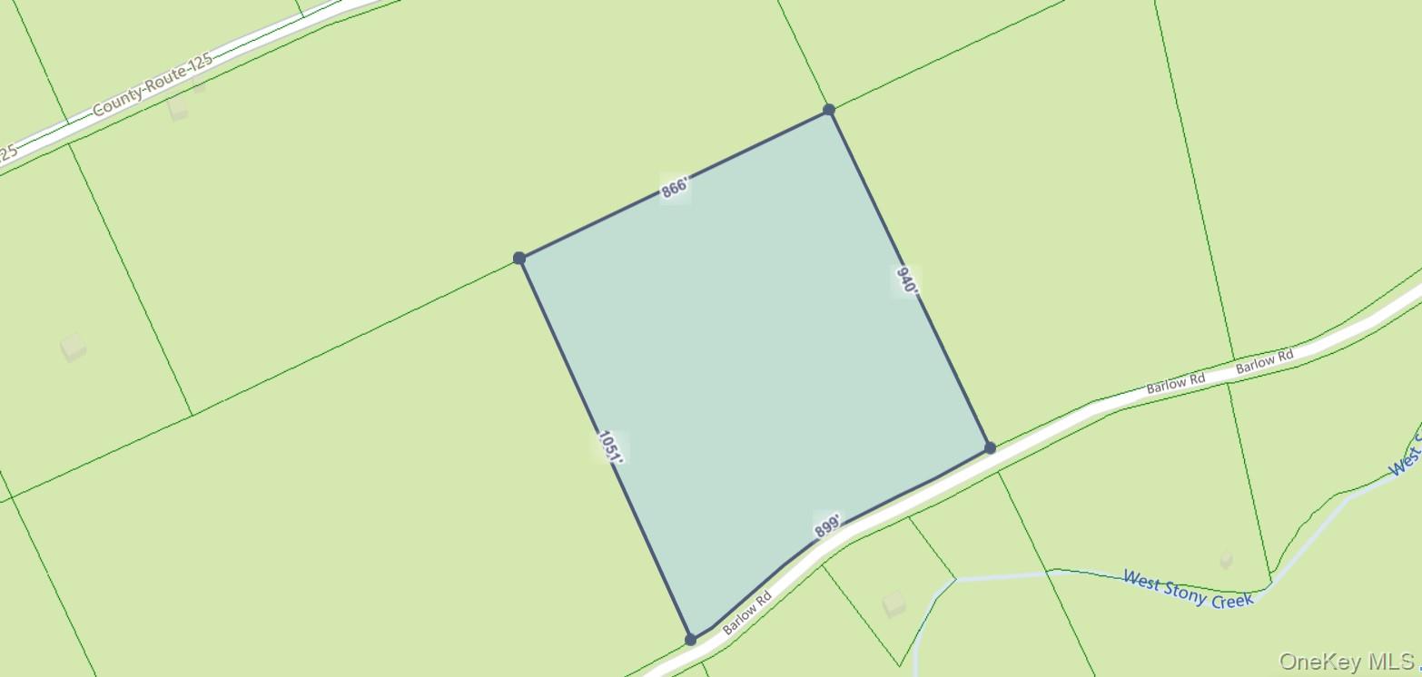 #7 photo, L42 Barlow Road, Call Listing Agent , NY 12078