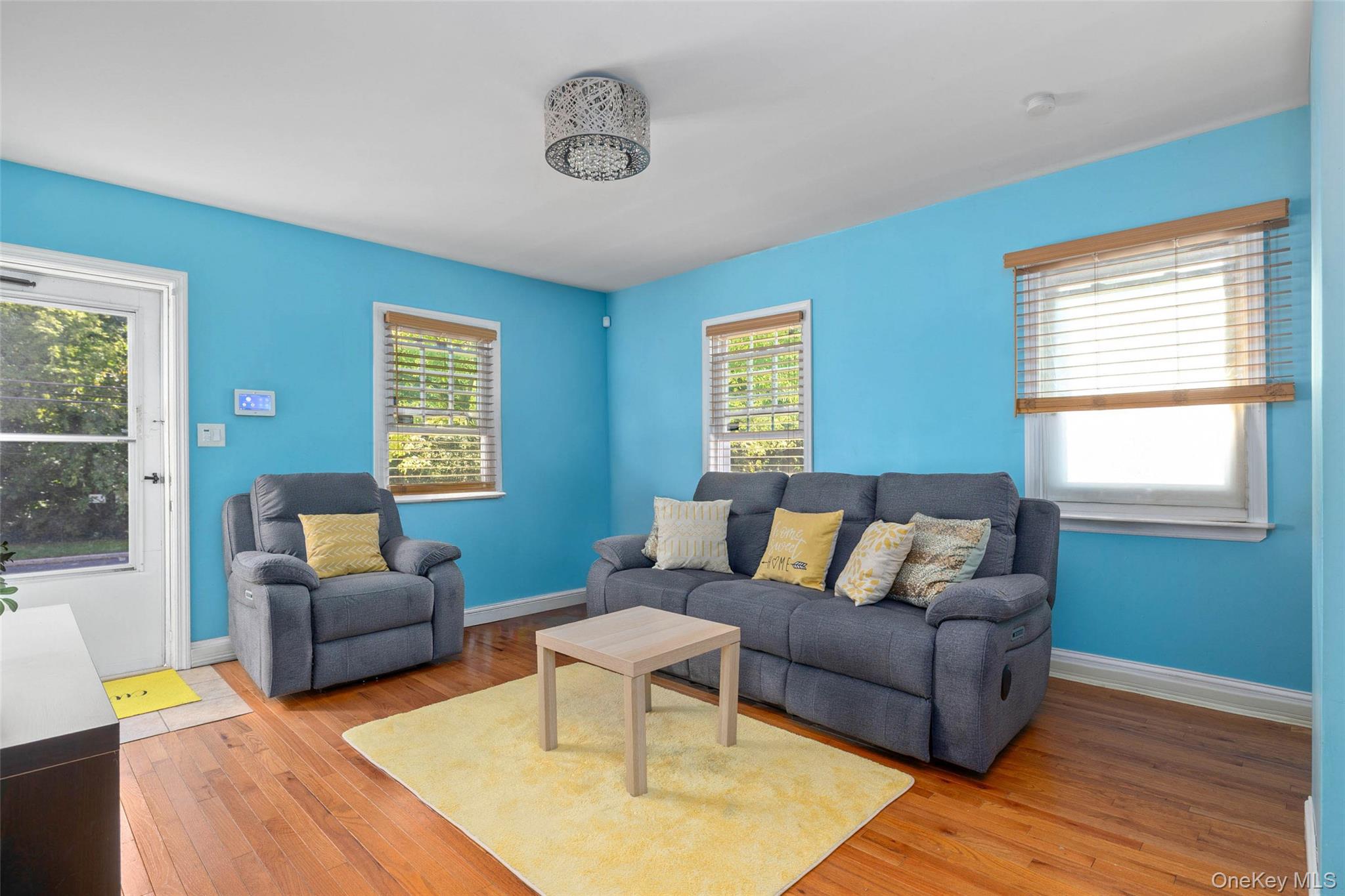 #3 photo, 49 Elizabeth Street, Roosevelt , NY 11575