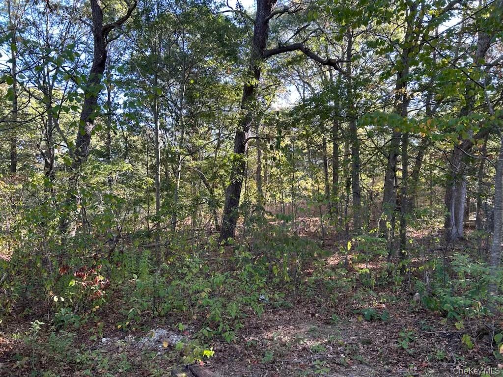 #1 photo, Old Medford Avenue, सफ़ोक काउंटी Medford , NY 11763