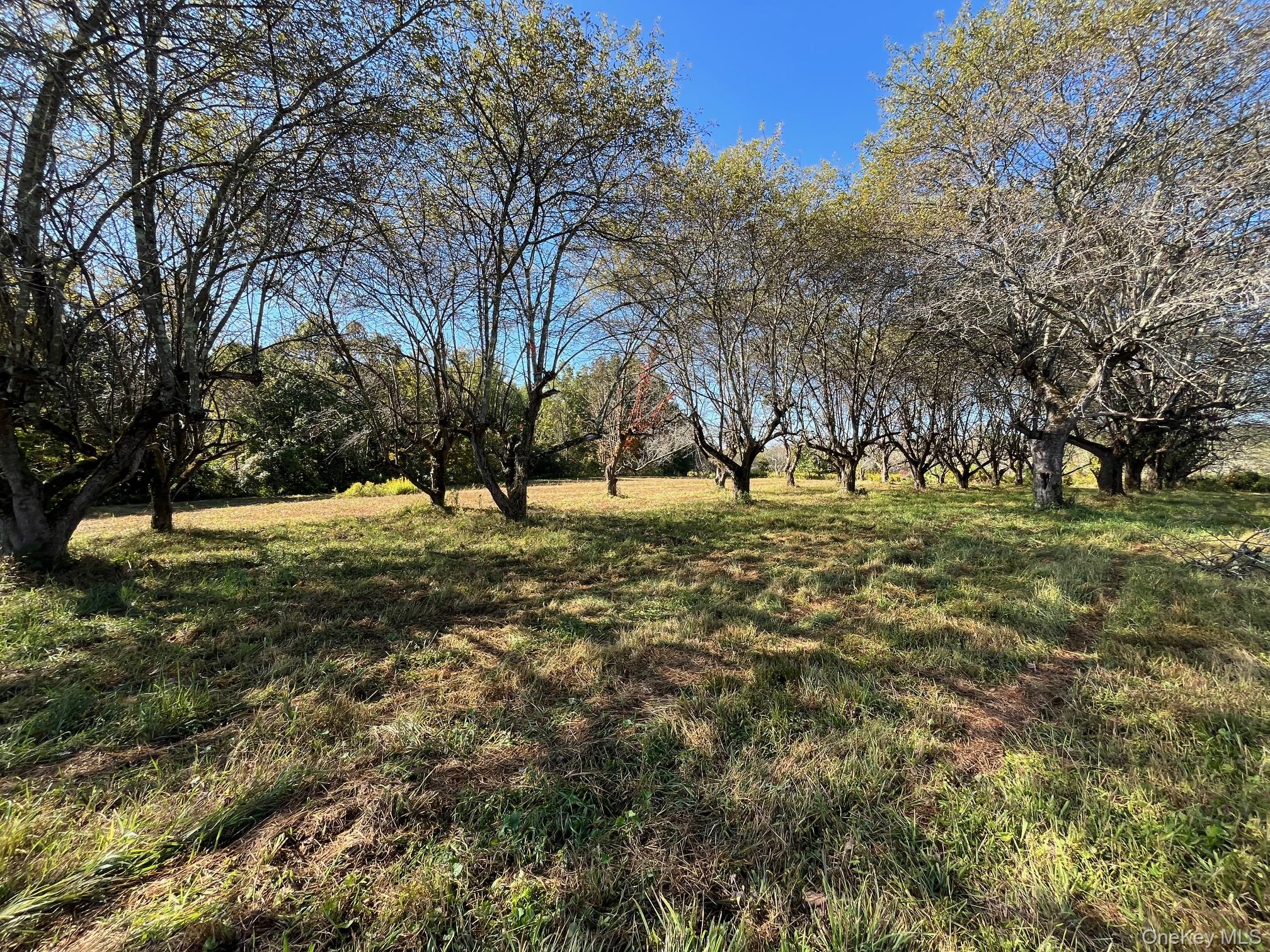 #10 photo, 989 State Route 32, Newburgh , NY 12589