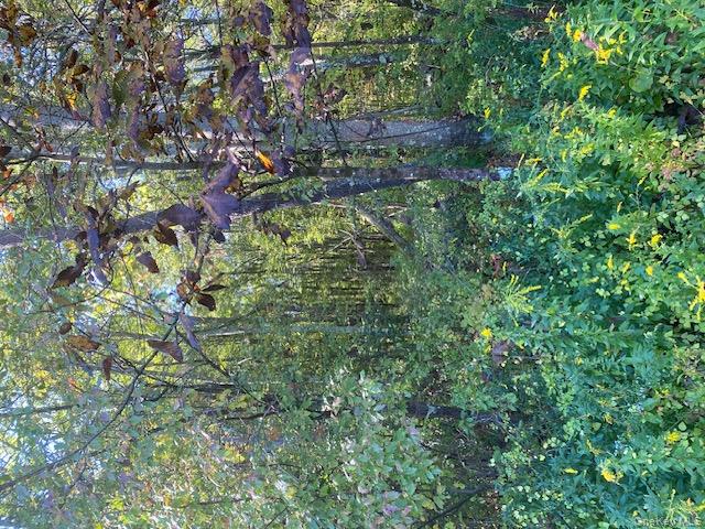 #11 photo, 989 State Route 32, Newburgh , NY 12589