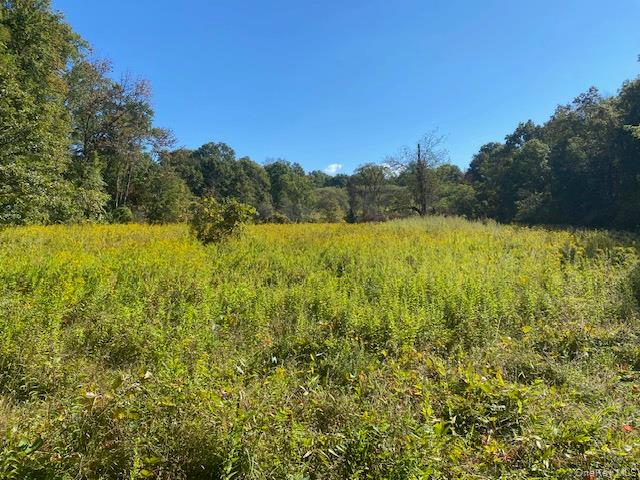 #13 photo, 989 State Route 32, Newburgh , NY 12589