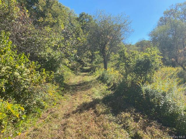 #15 photo, 989 State Route 32, Newburgh , NY 12589