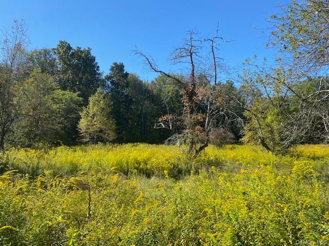 #17 photo, 989 State Route 32, Newburgh , NY 12589