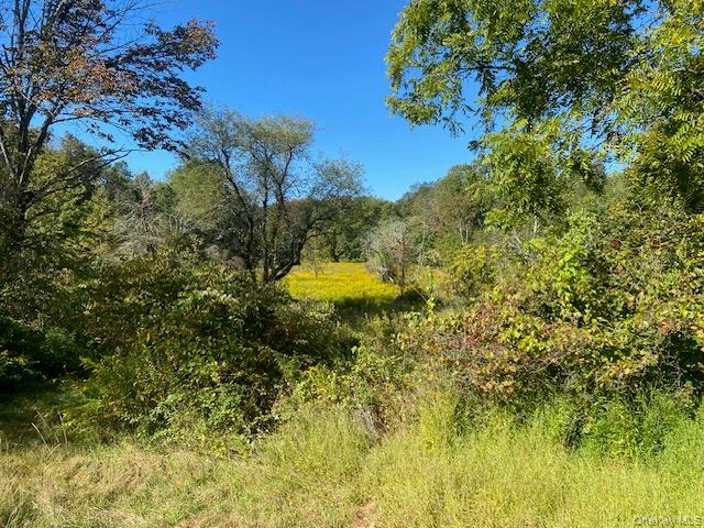 #18 photo, 989 State Route 32, Newburgh , NY 12589