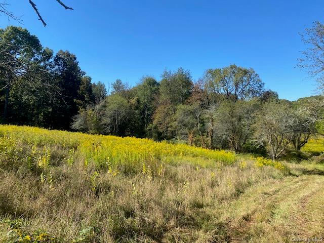 #19 photo, 989 State Route 32, Newburgh , NY 12589