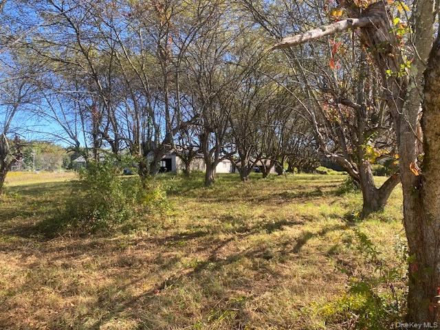 #4 photo, 989 State Route 32, Newburgh , NY 12589