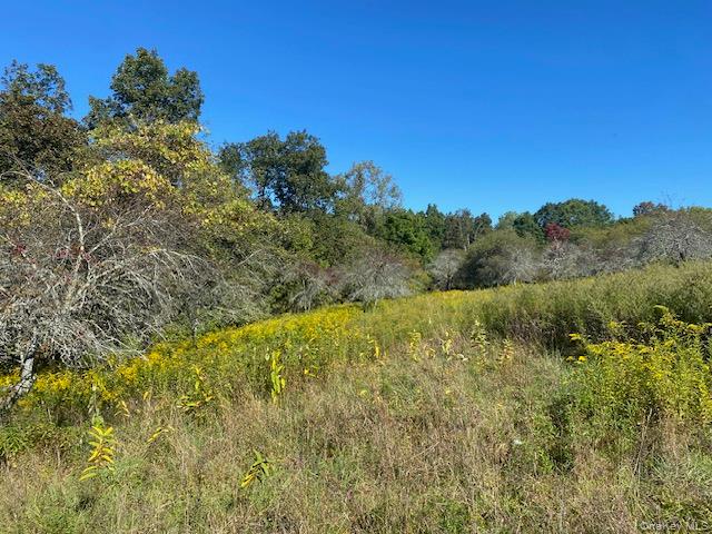 #5 photo, 989 State Route 32, Newburgh , NY 12589