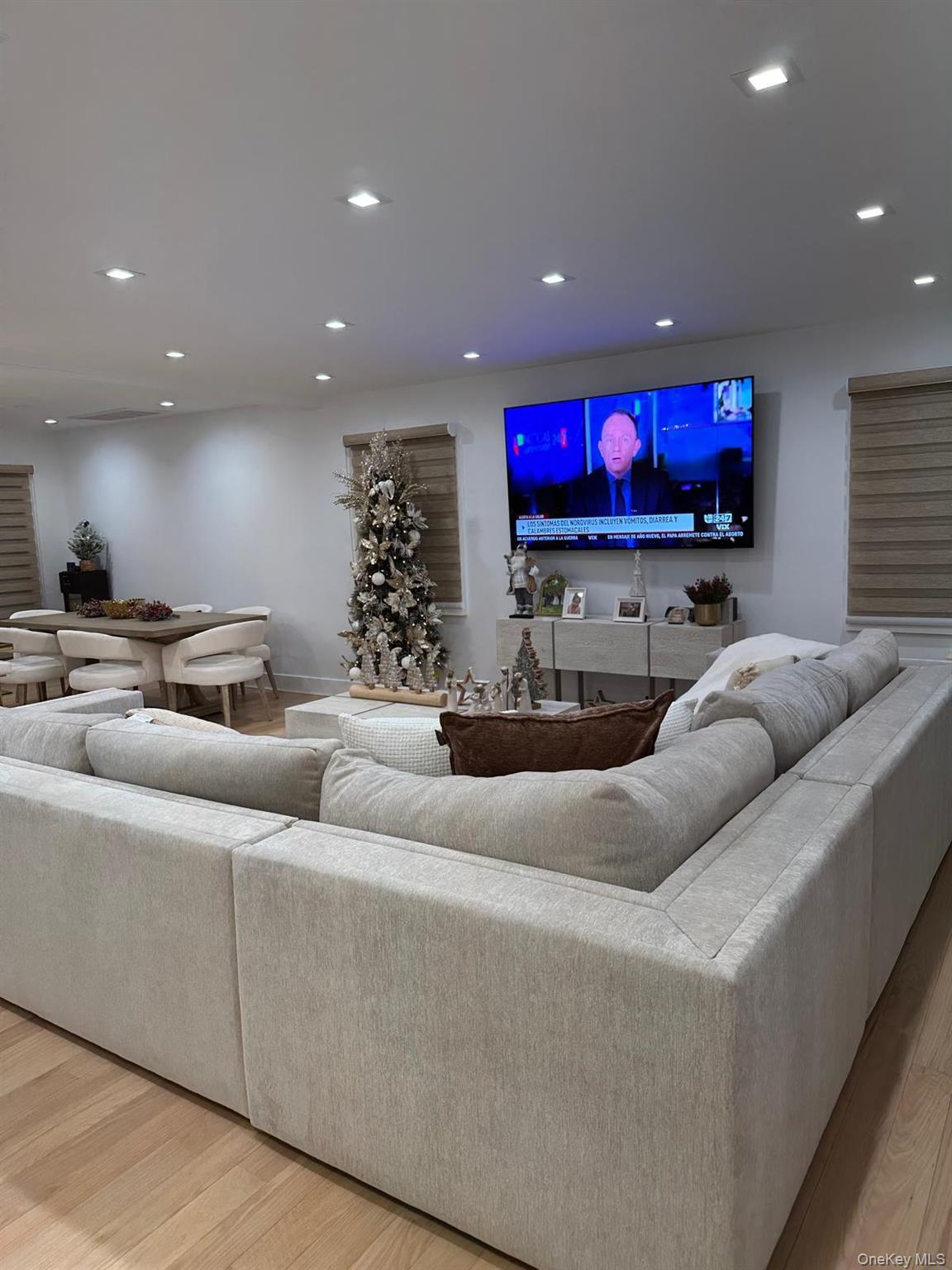 #10 photo, 63 Pembrook Drive, Mineola , NY 11501